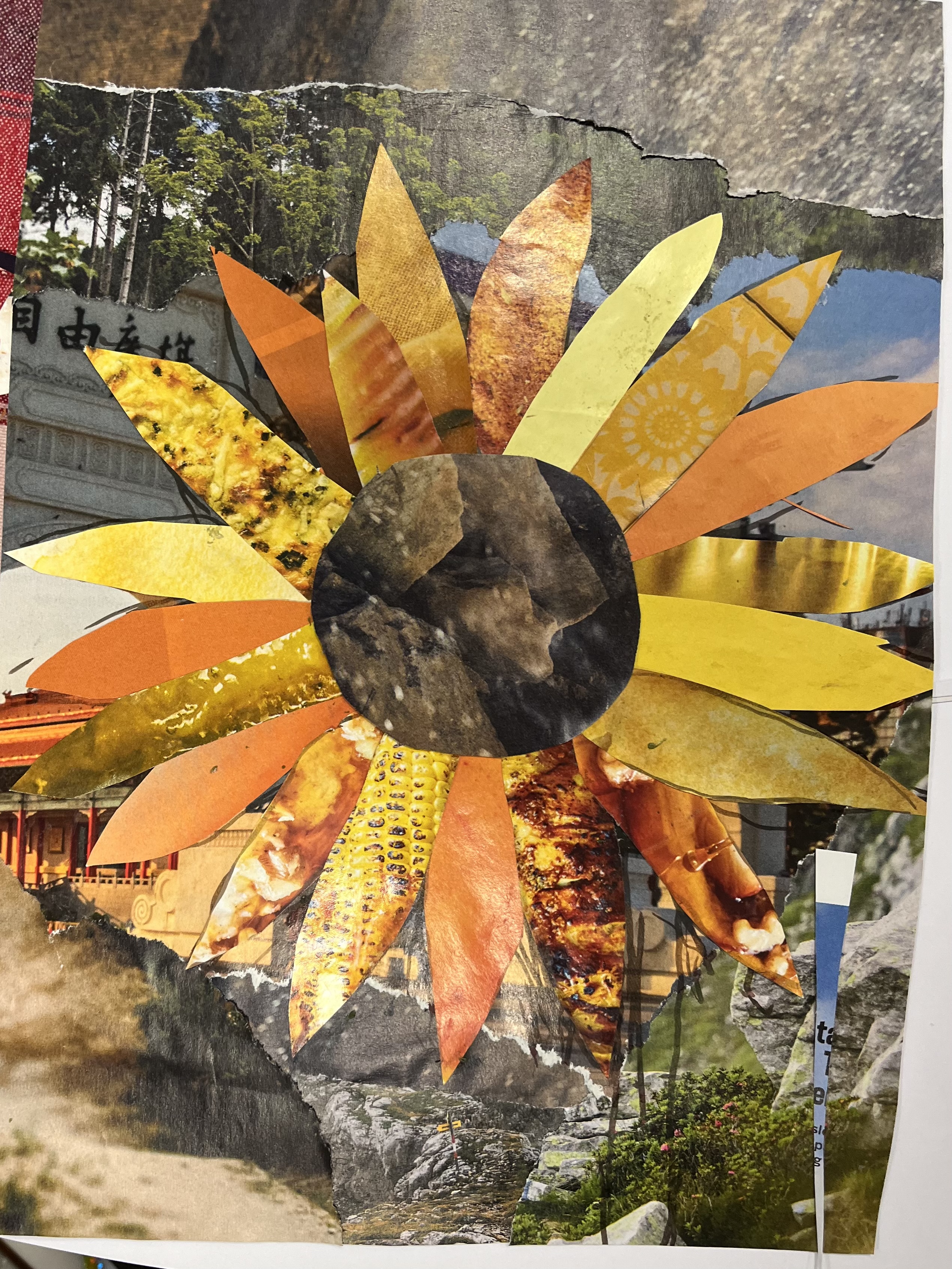 Image 2
